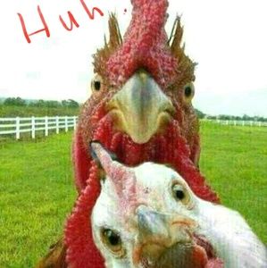 Meet your Posher, Jill